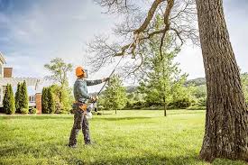 Leaf Removal in Berlin, OH